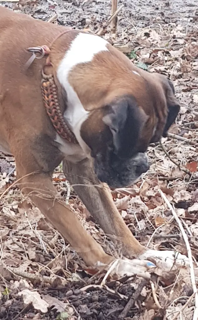 Andachtsbild von Heike