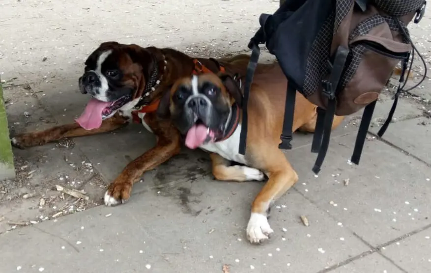 Andachtsbild von Heike