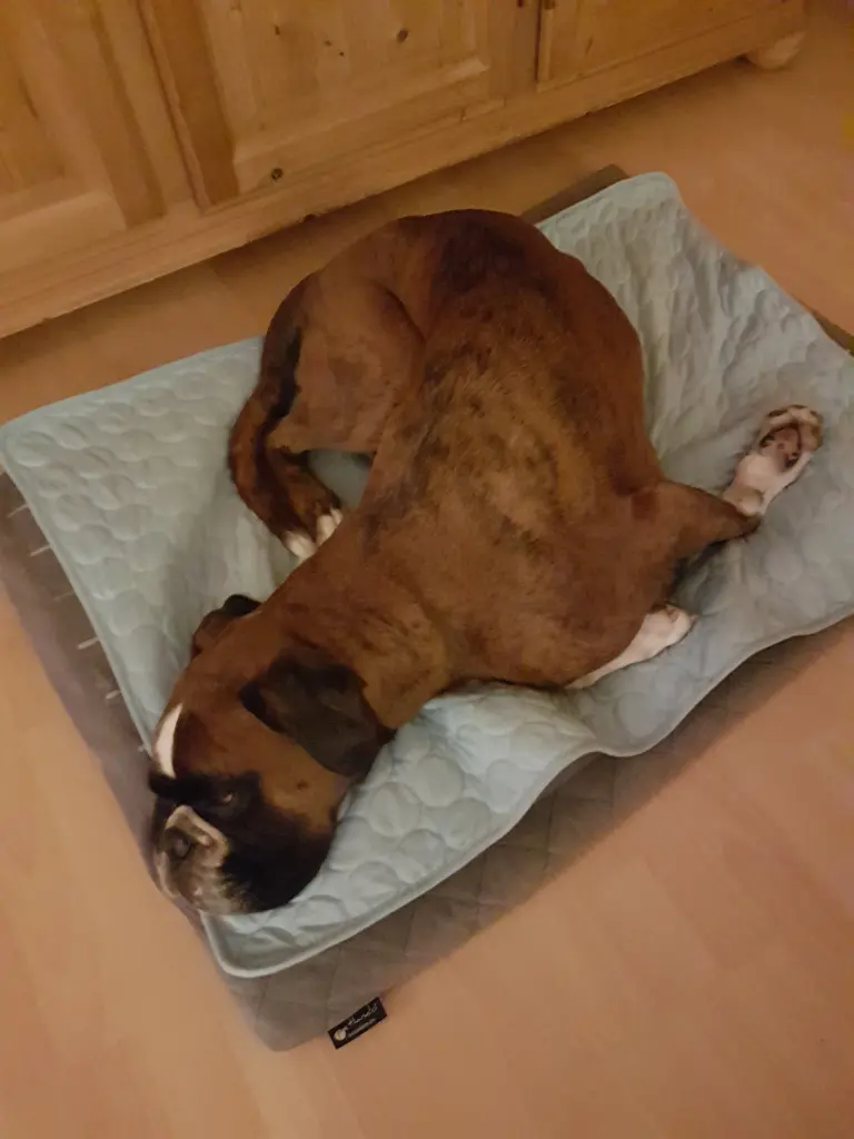 Andachtsbild von Karina mit Floyd im ❤ 