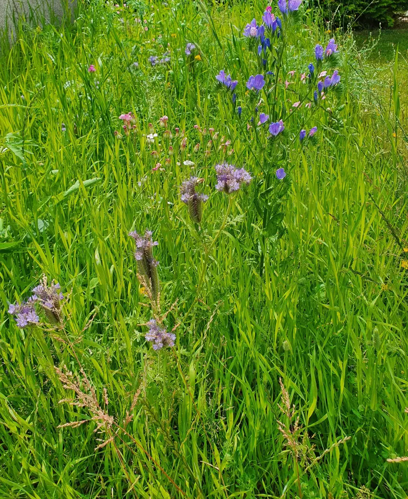 Andachtsbild von Karina und Jörg mit Floyd im ❤ 