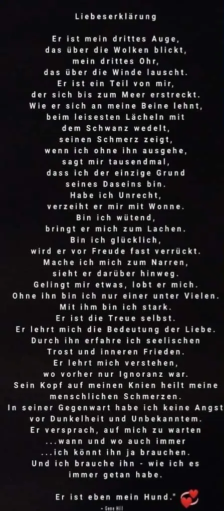 Andachtsbild von Karina und Jörg mit Floyd im ❤ 