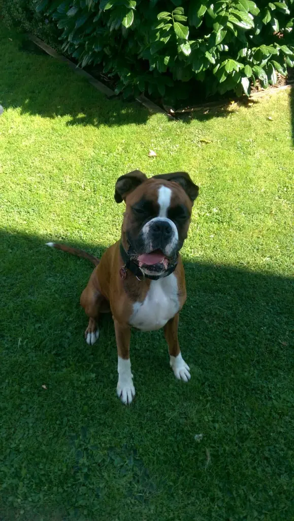 Andachtsbild von Karina mit Floyd im ❤ 