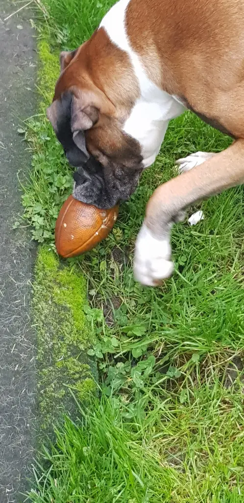 Andachtsbild von Heike