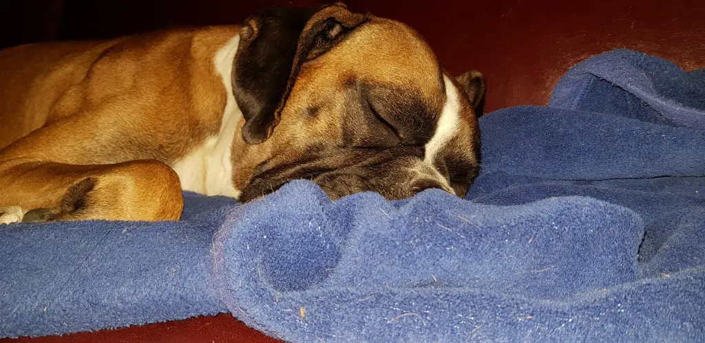 Andachtsbild von Heike