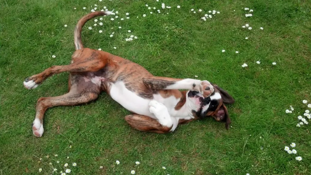 Andachtsbild von Karina mit Floyd im Herzen