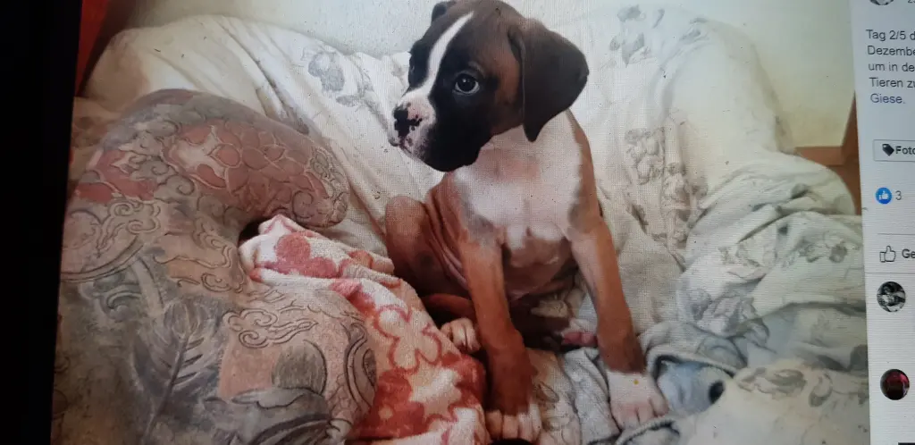 Andachtsbild von Heike