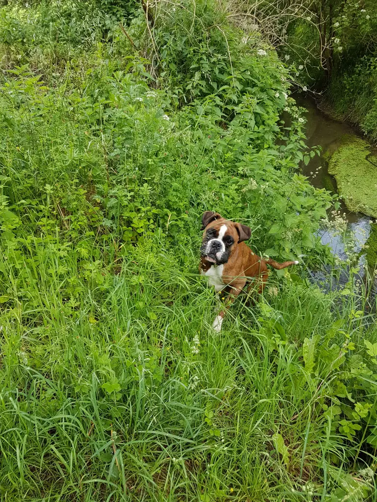 Andachtsbild von Karina mit Floyd im ❤ 