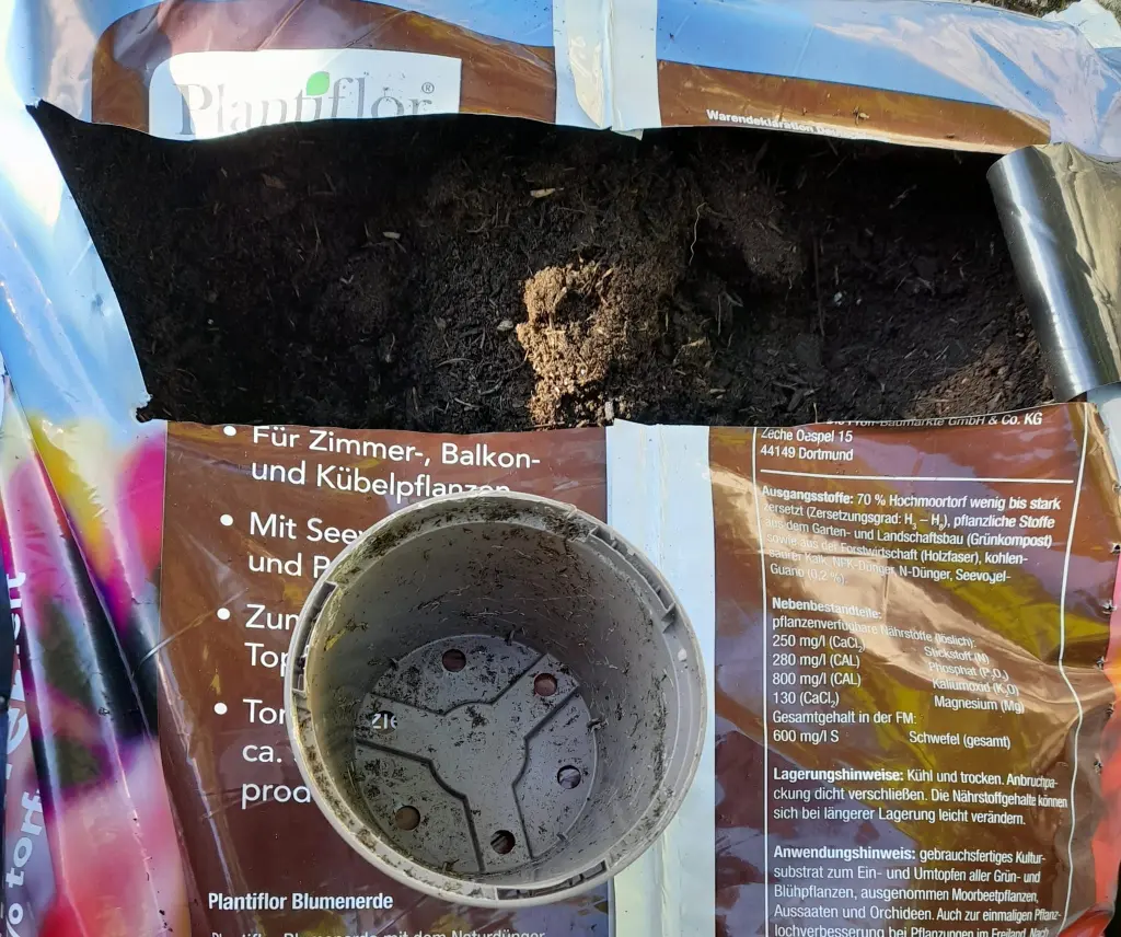 Andachtsbild von Heike