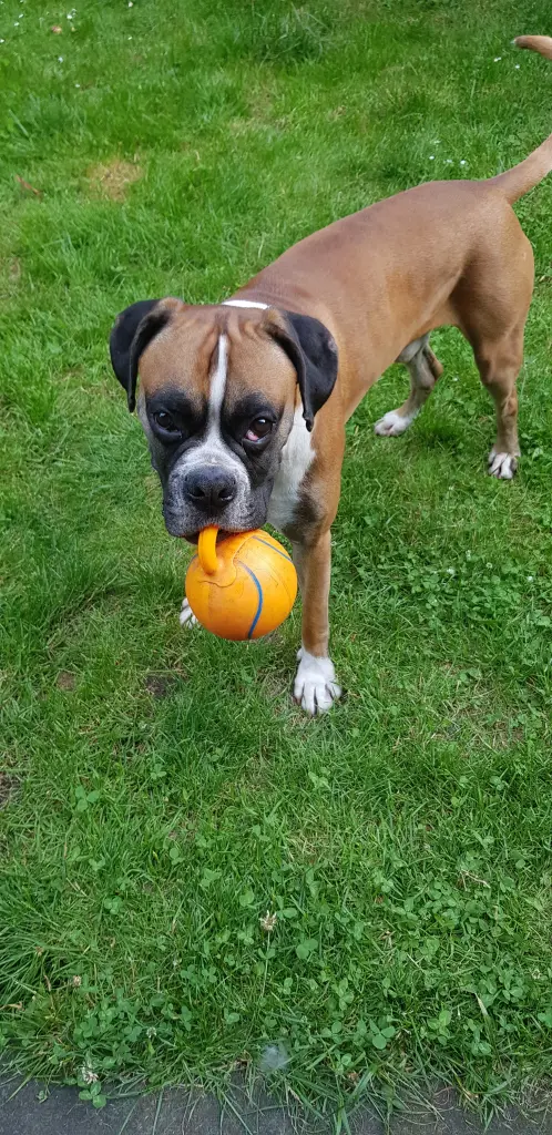 Andachtsbild von Heike 