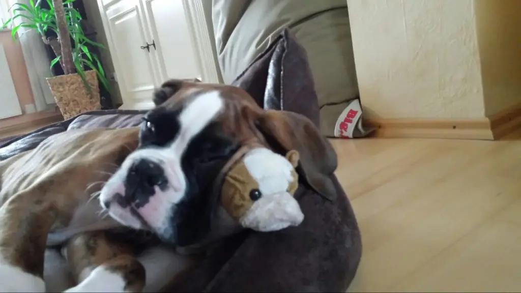 Andachtsbild von Karina mit Floyd im ❤ 