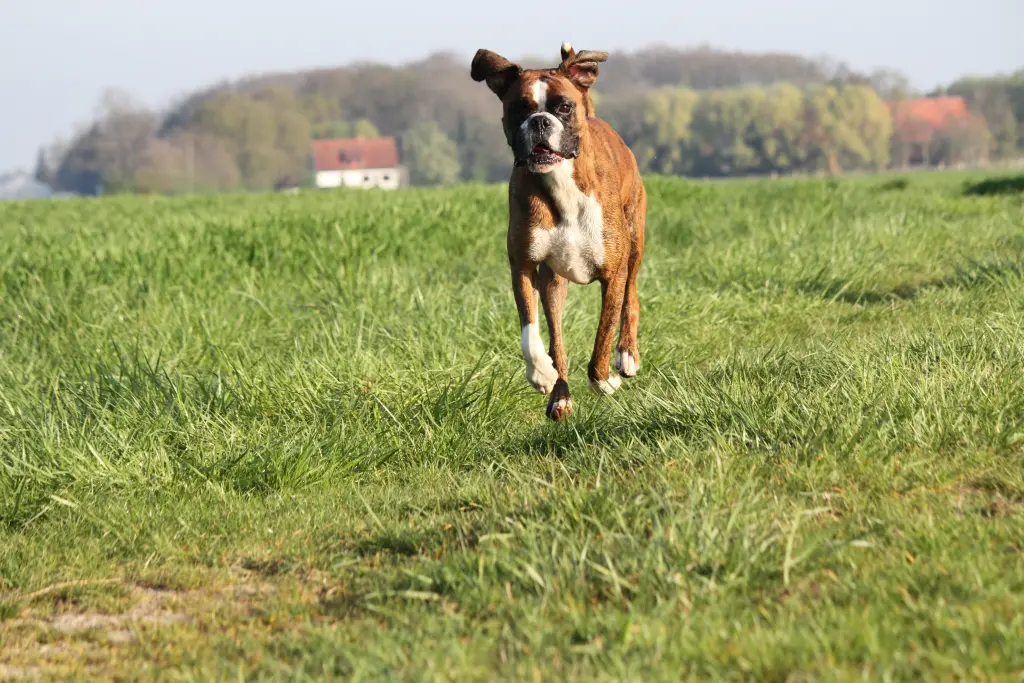 Andachtsbild von Karina und Jörg mit Floyd im ❤