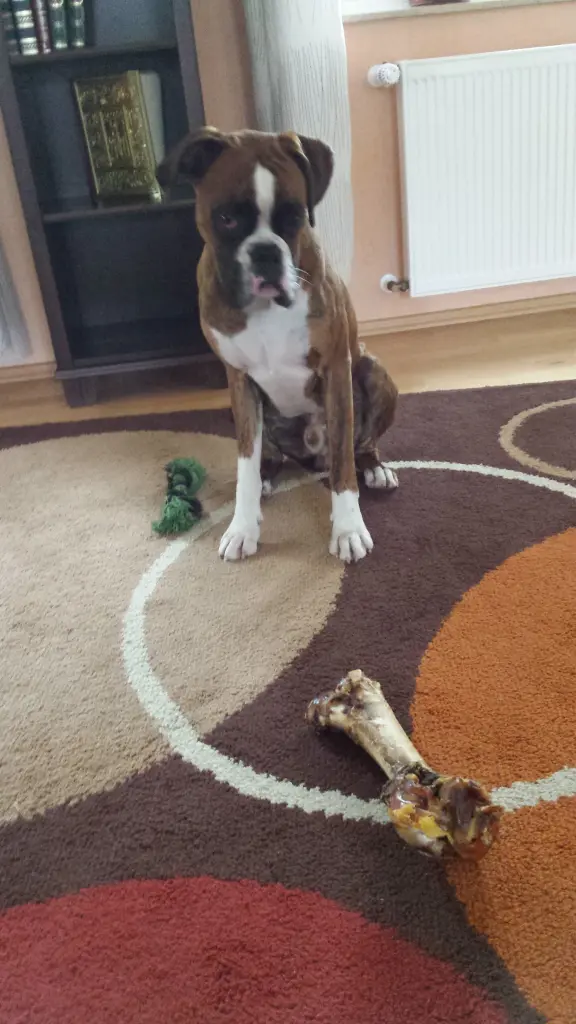 Andachtsbild von Karina mit Floyd im ❤ 