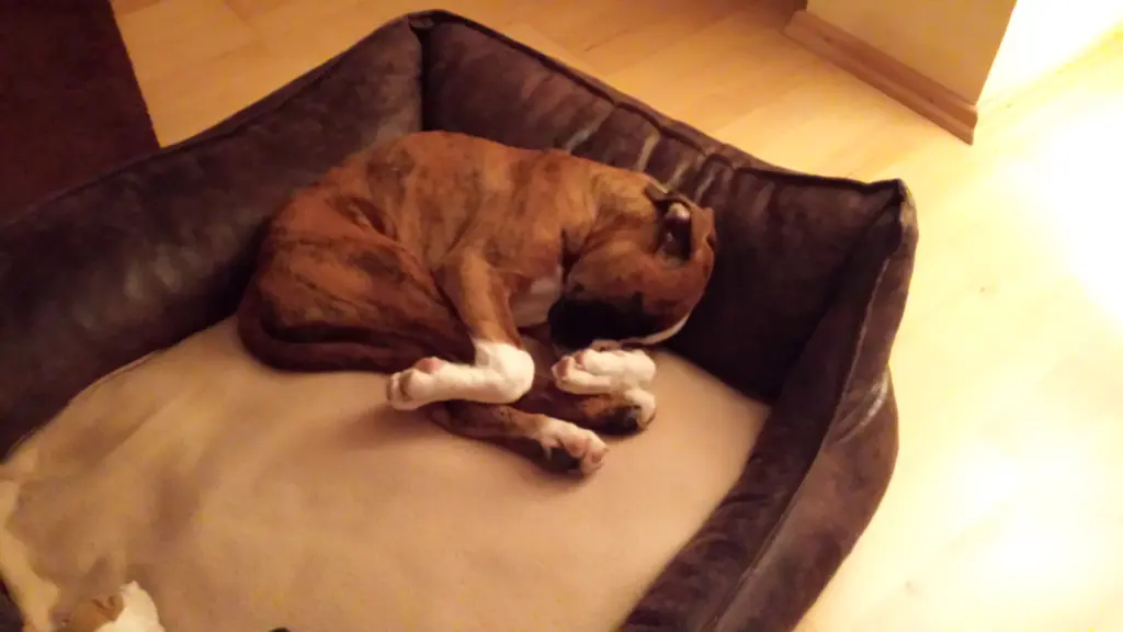 Andachtsbild von Karina mit Floyd im ❤ 