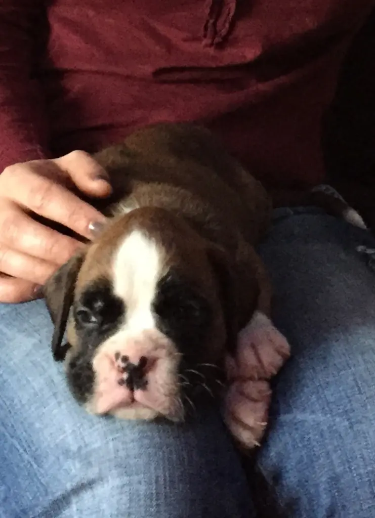 Andachtsbild von Karina mit Floyd im ❤ 