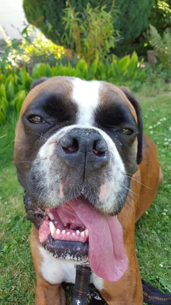 Andachtsbild von Karina mit Floyd im ❤ 