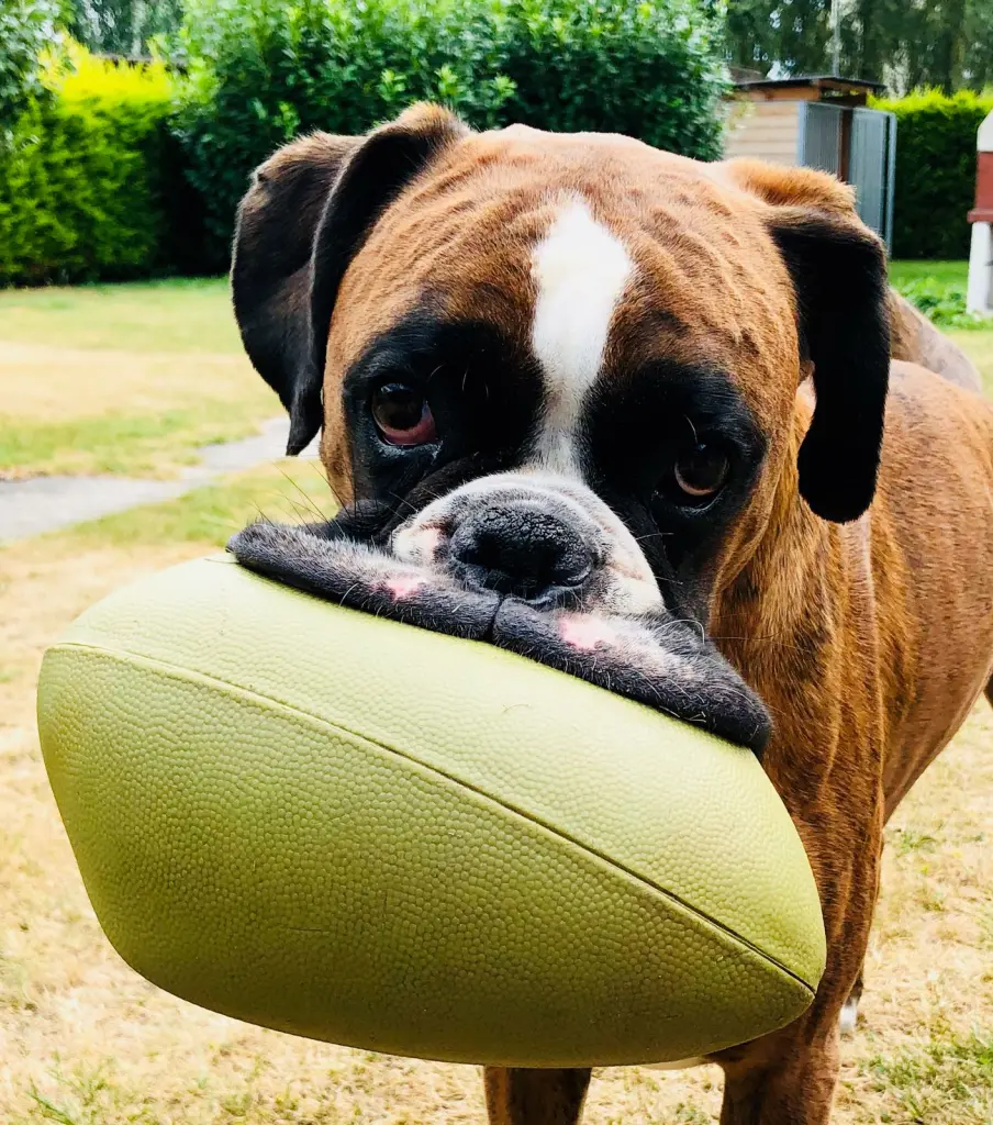 Andachtsbild von Unbekannt