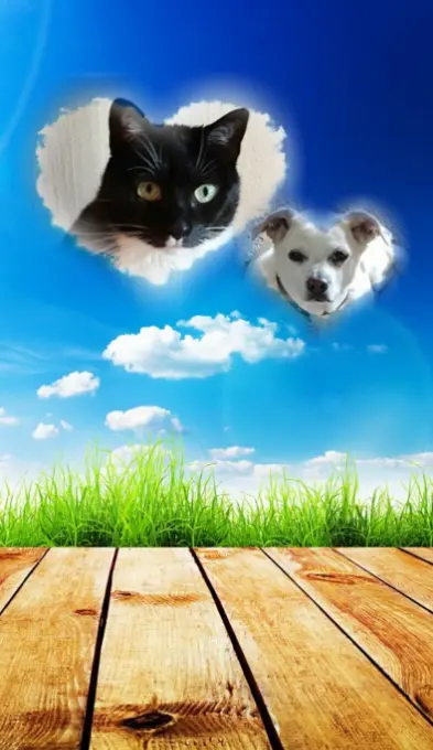 Andachtsbild von Silke mit Seelenhund Cassy  und Katzendame Joyce tief im Herzen ❤