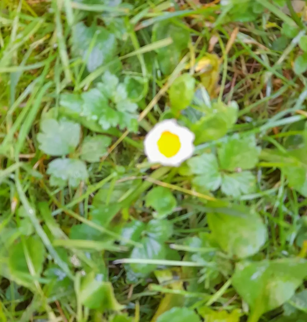 Andachtsbild von Heike, Matthias und Lukas