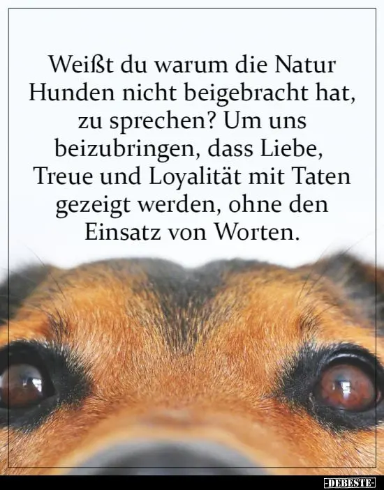 Andachtsbild von Karina und Jörg mit Floyd im ❤