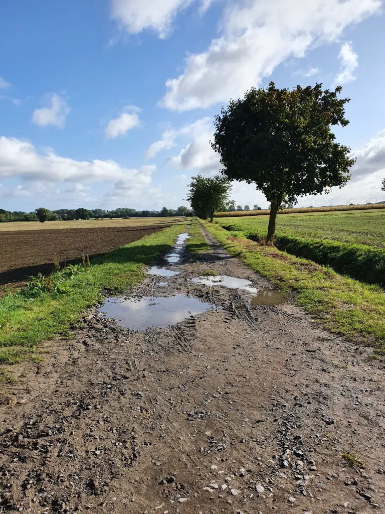 Andachtsbild von Karina und Jörg mit Floyd im ❤ 