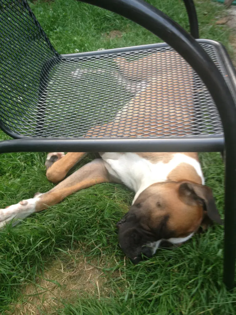 Andachtsbild von Heike