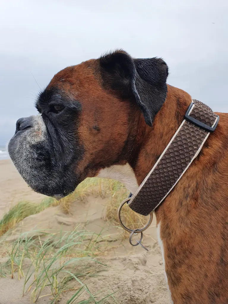 Andachtsbild von Karina und Jörg mit Floyd im ❤ 