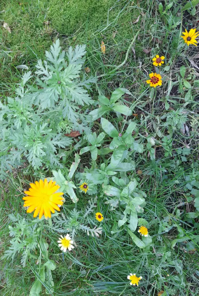 Andachtsbild von Heike