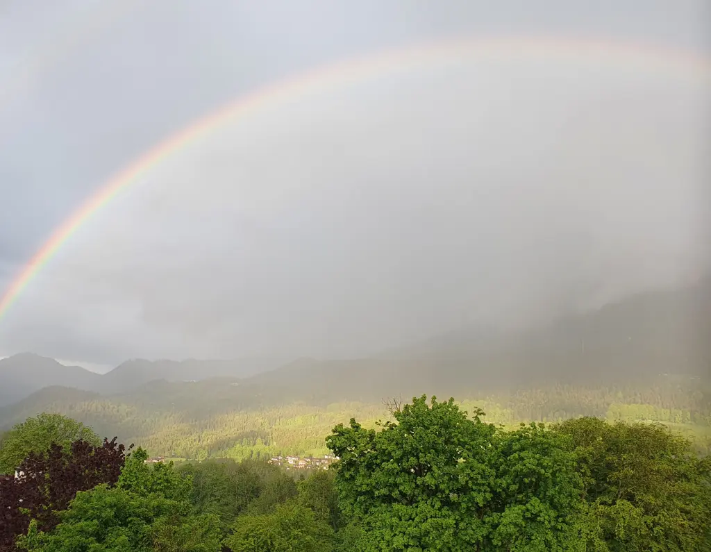 Andachtsbild von Karina und Jörg mit Floyd im ❤ 