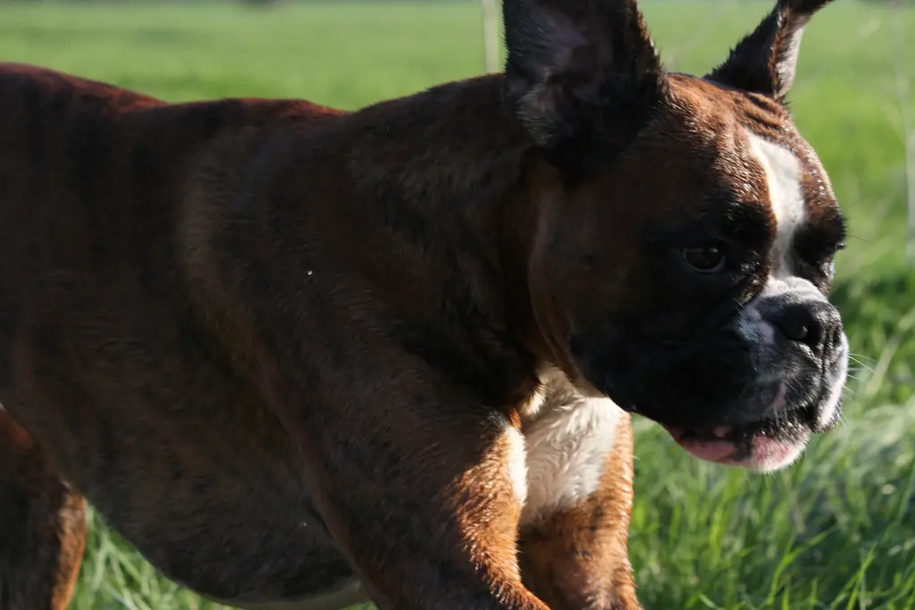 Andachtsbild von Karina mit Floyd im ❤ 