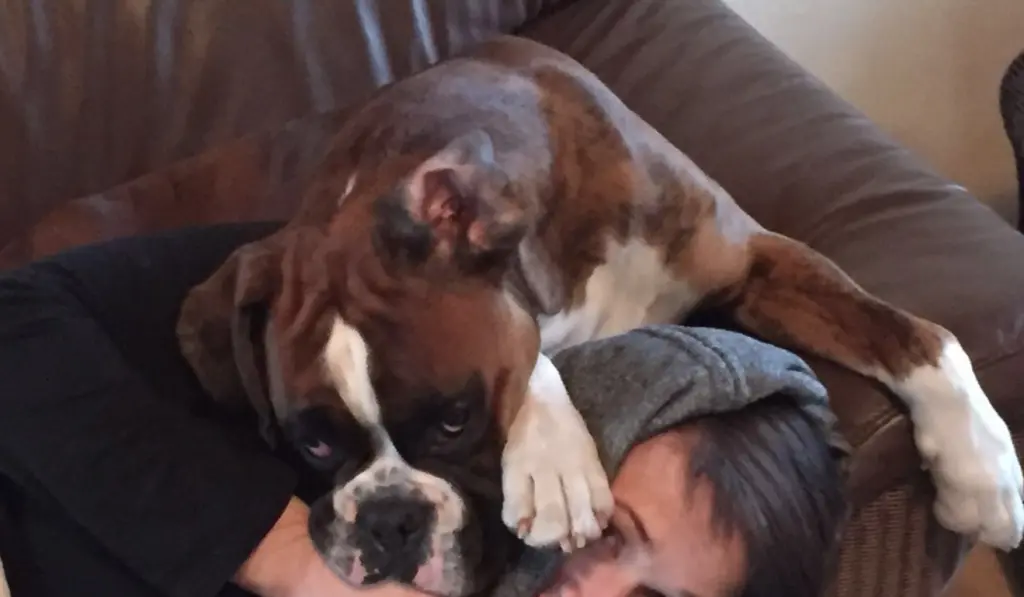 Andachtsbild von Karina mit Floyd im ❤