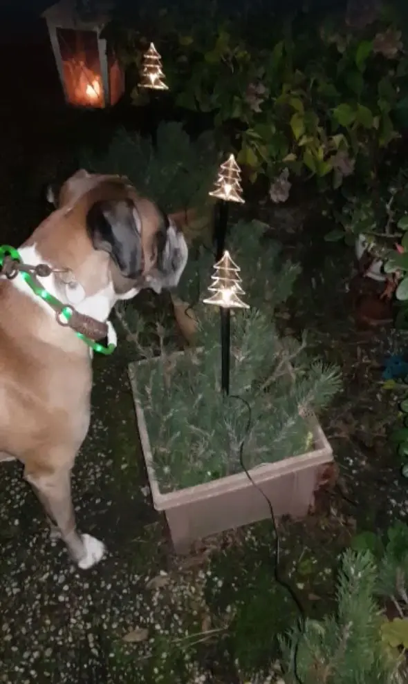 Andachtsbild von Heike