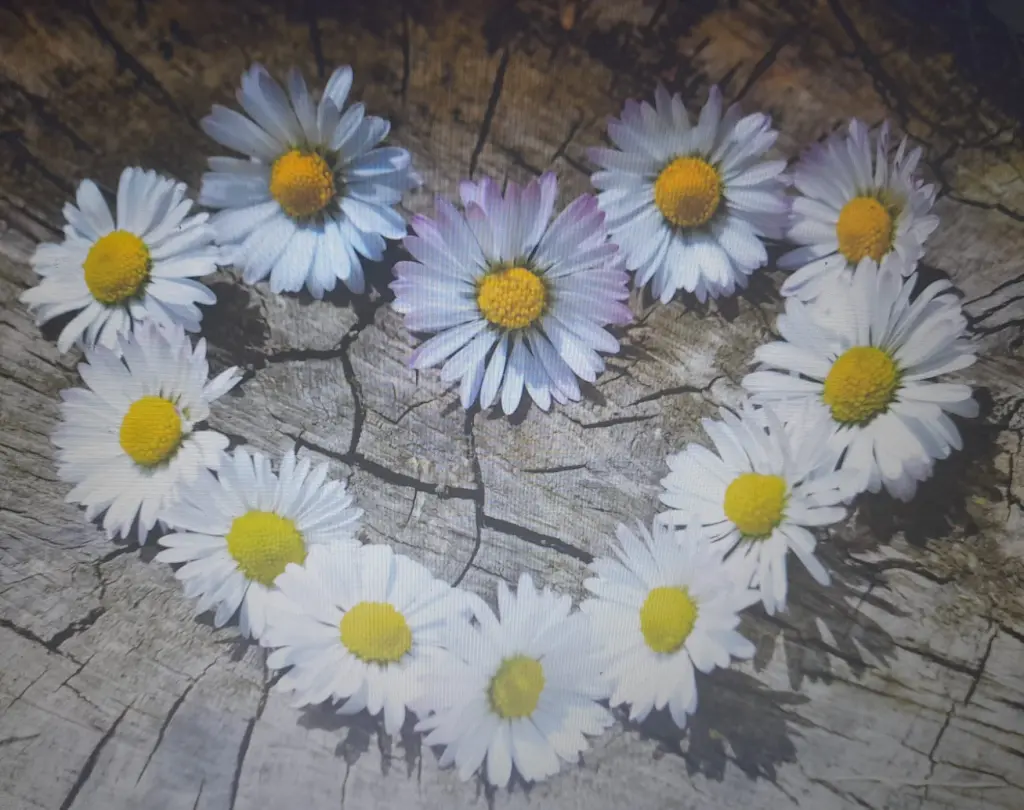 Andachtsbild von Heike