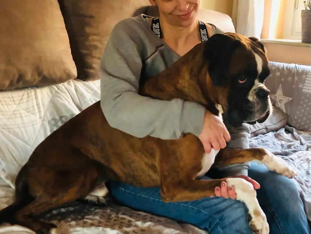 Andachtsbild von Karina und Jörg mit Floyd im ❤ 