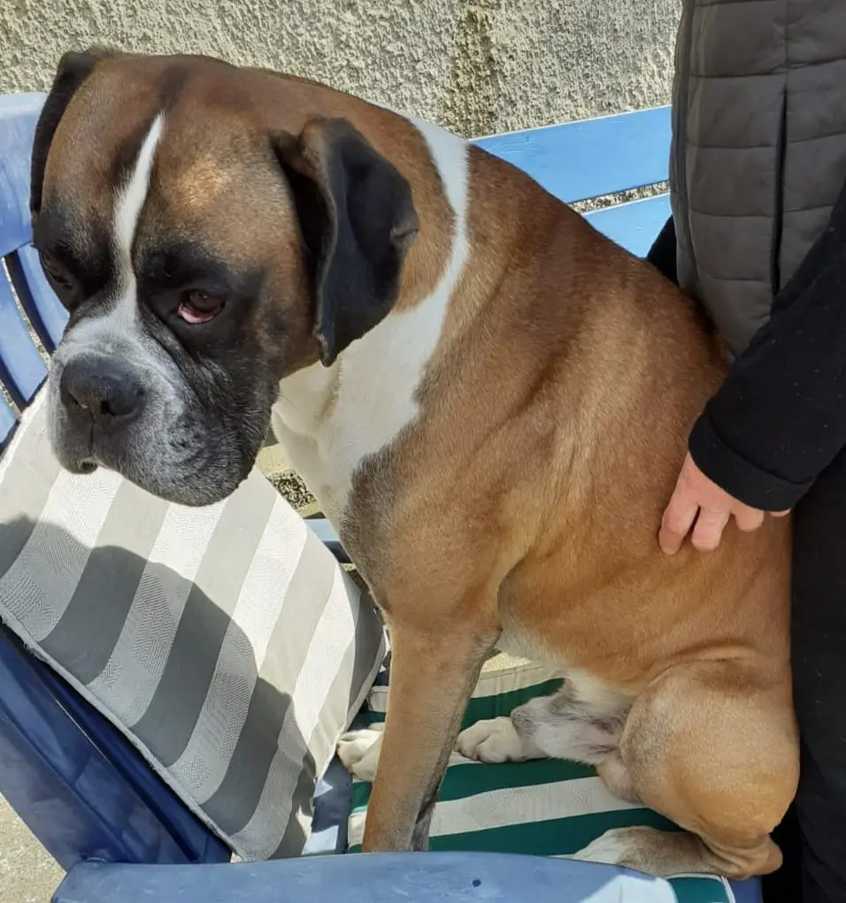 Andachtsbild von Heike