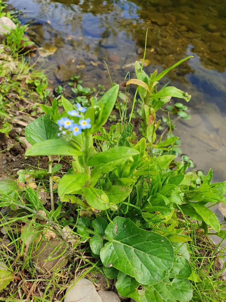Andachtsbild von Karina und Jörg mit Floyd im ❤ 