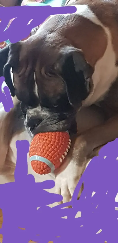 Andachtsbild von Heike