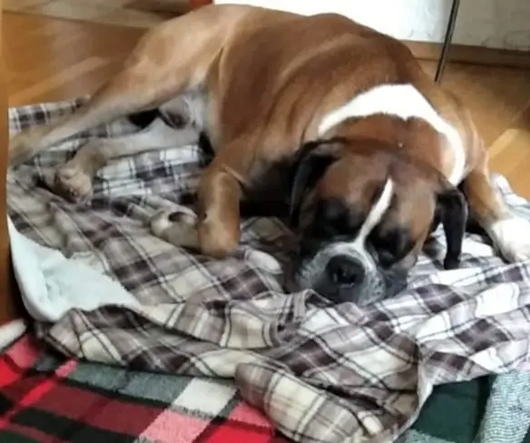 Andachtsbild von Heike