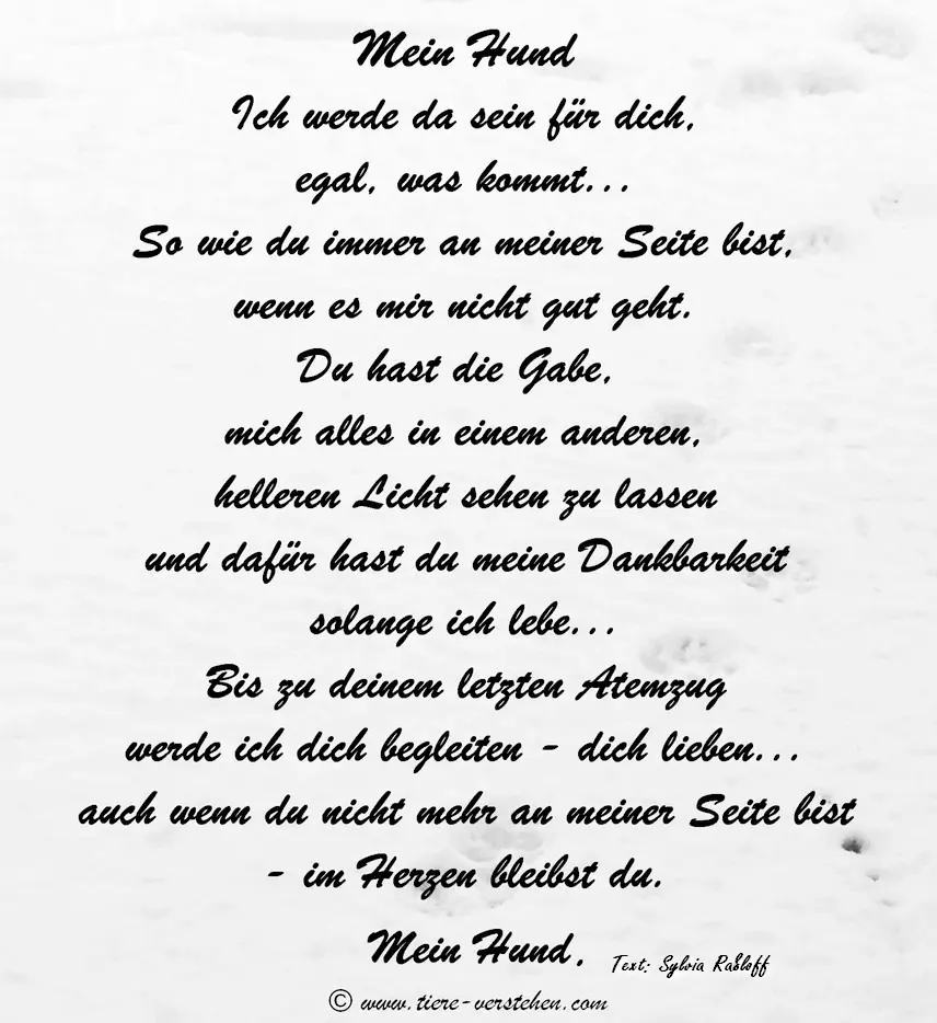 Andachtsbild von Karina und Jörg mit Floyd im ❤ 