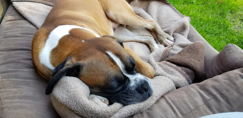 Andachtsbild von Heike