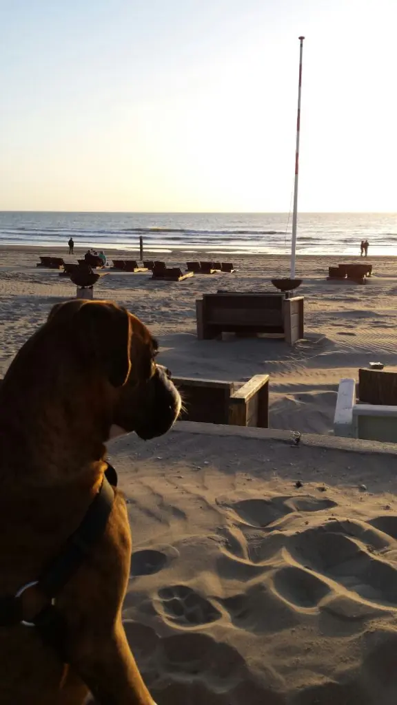 Andachtsbild von Karina und Jörg mit Floyd im ❤ 