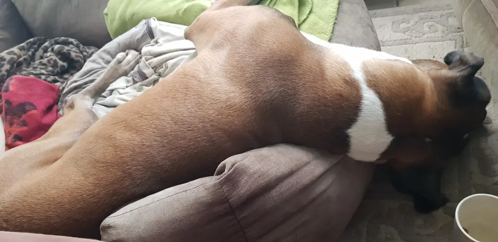 Andachtsbild von Heike