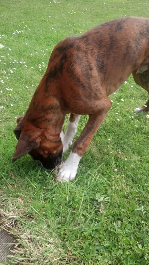 Andachtsbild von Karina und Jörg mit Floyd im ❤ 