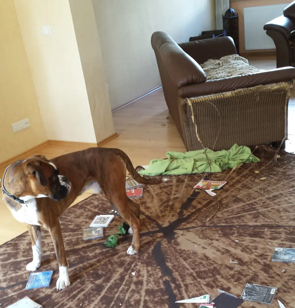 Andachtsbild von Karina und Jörg mit Floyd im ❤ 