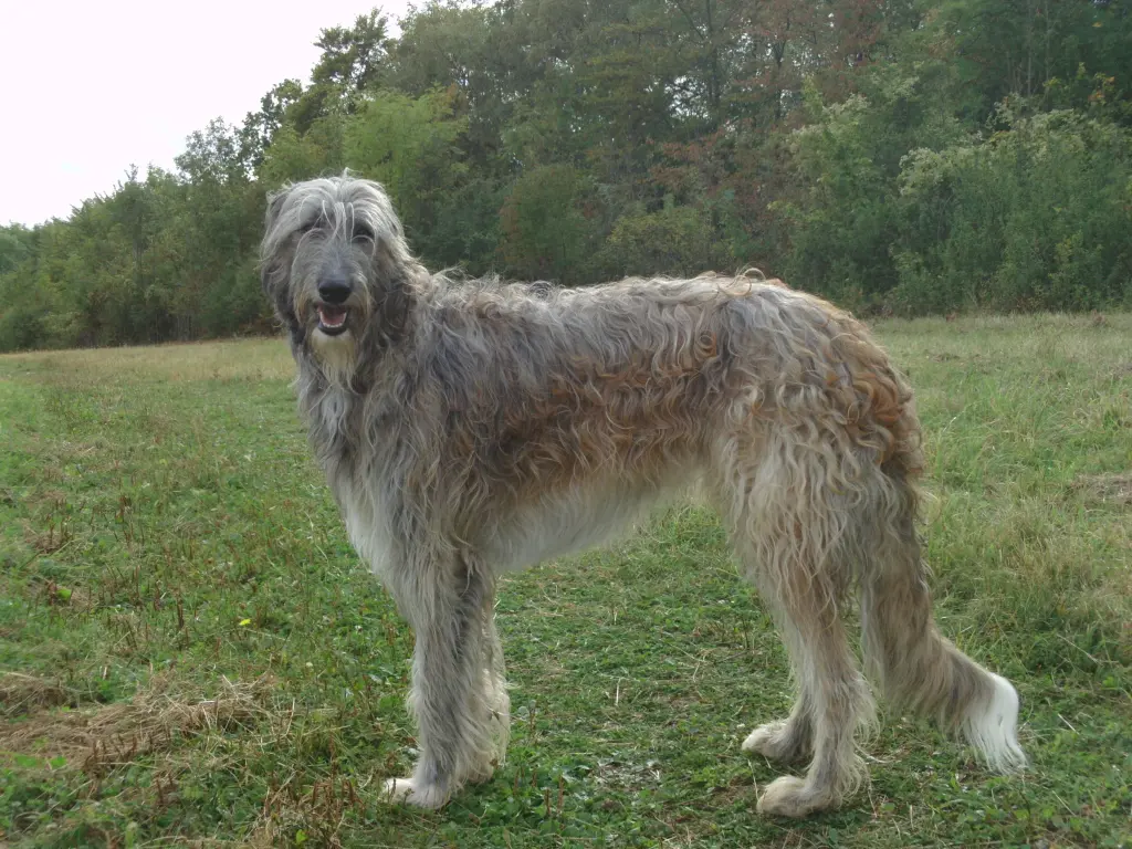 Andachtsbild von Verena