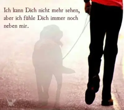 Andachtsbild von Karina und Jörg mit Floyd im ❤