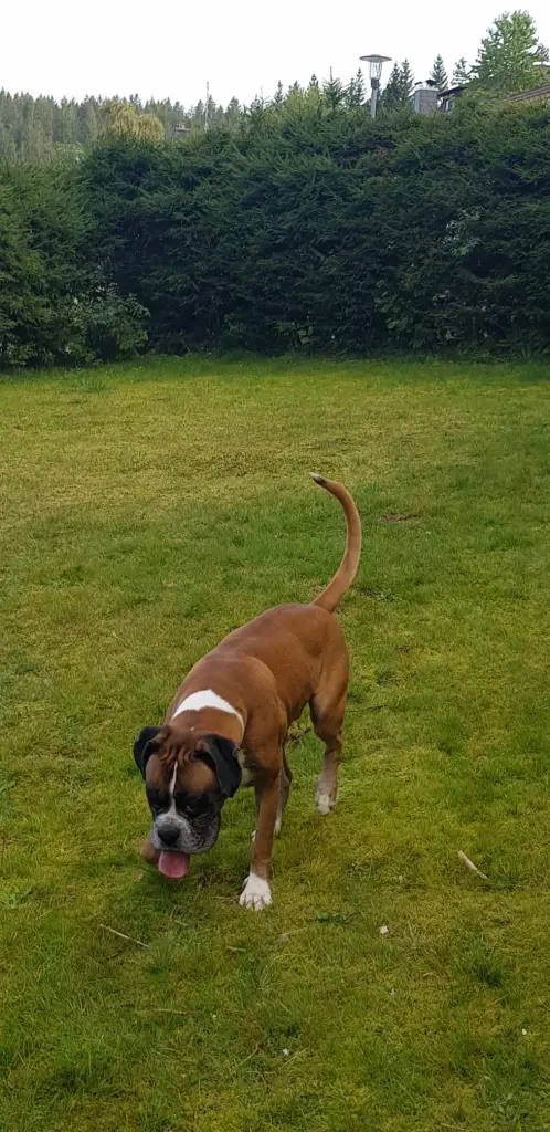 Andachtsbild von Heike und Tucker