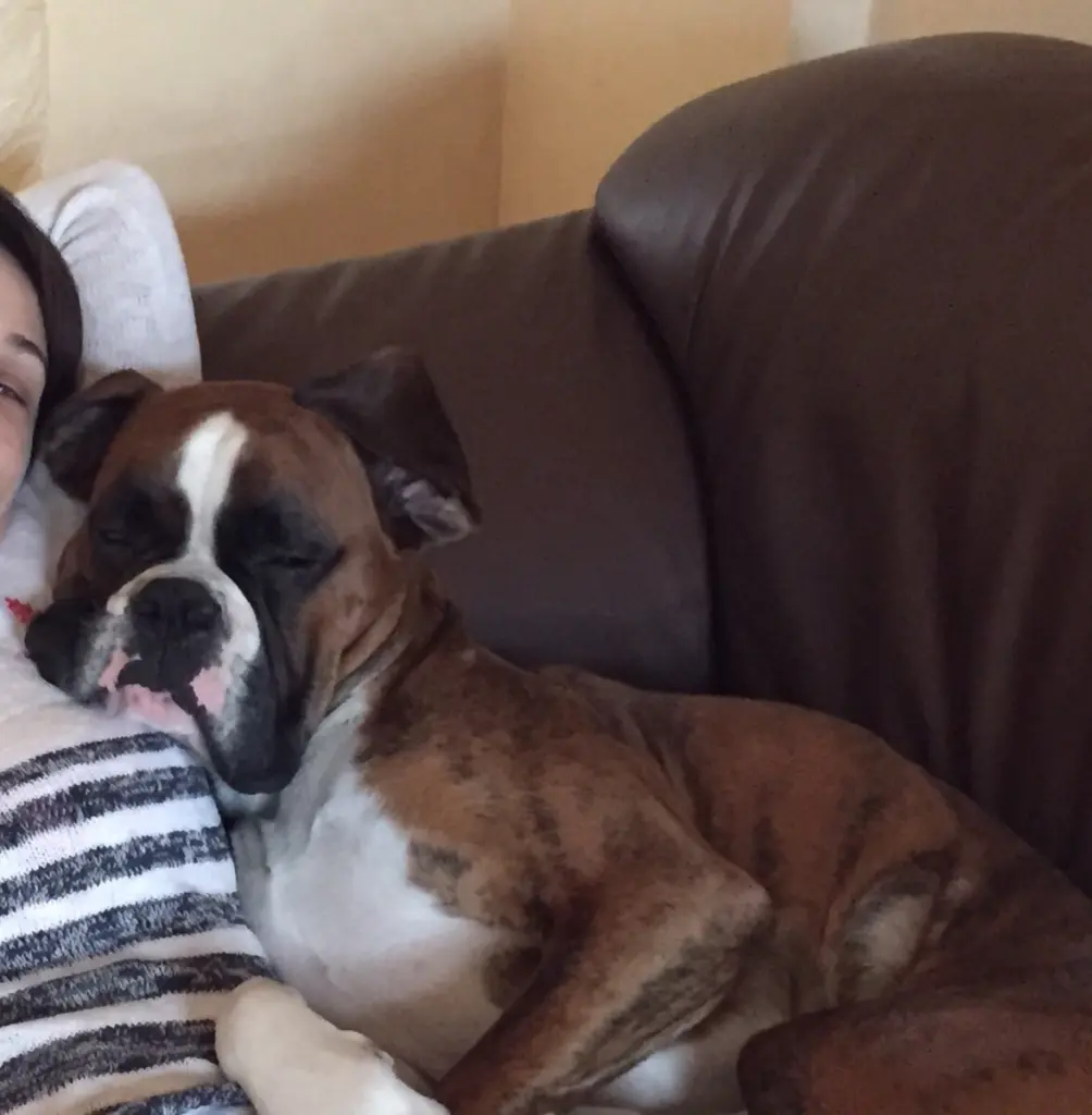 Andachtsbild von Karina und Jörg mit Floyd im ❤ 