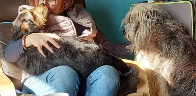 Andachtsbild von Heike und Tucker