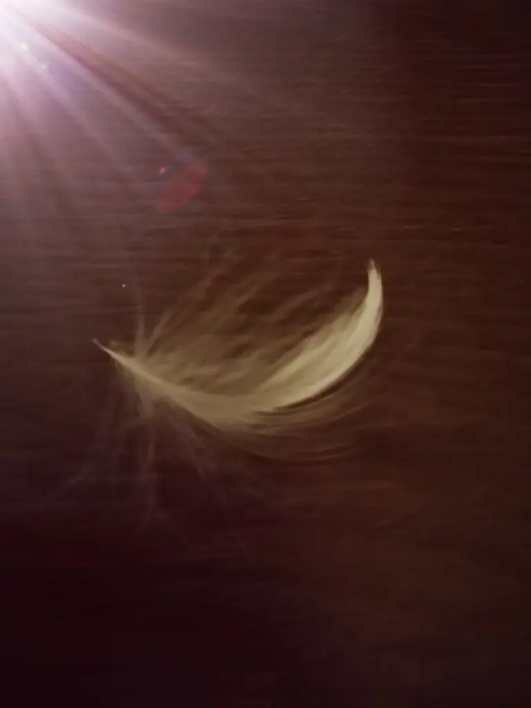 Andachtsbild von Unbekannt