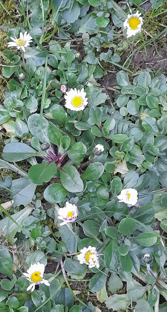 Andachtsbild von Heike und Tucker